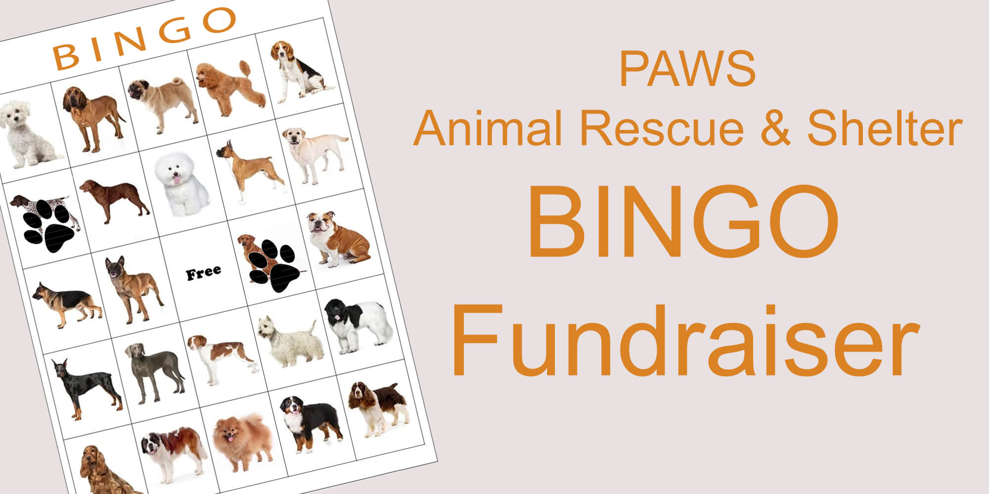 paws-bingo-fundraiser-village-of-union-city-ohio